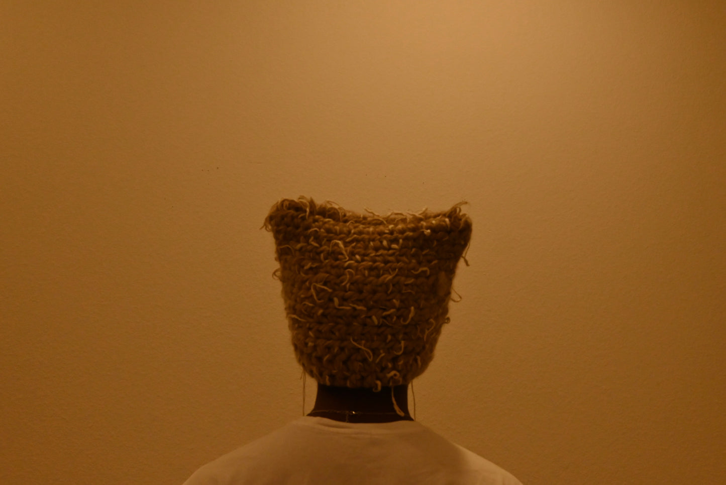 Cat Hat